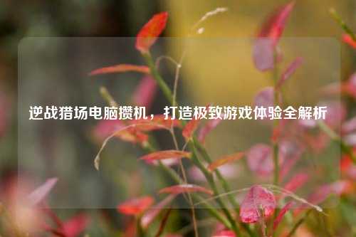 逆战猎场电脑攒机，打造极致游戏体验全解析