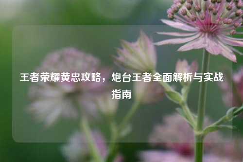 王者荣耀黄忠攻略，炮台王者全面解析与实战指南