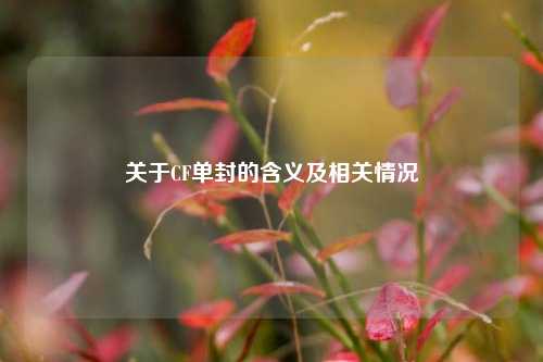 关于CF单封的含义及相关情况