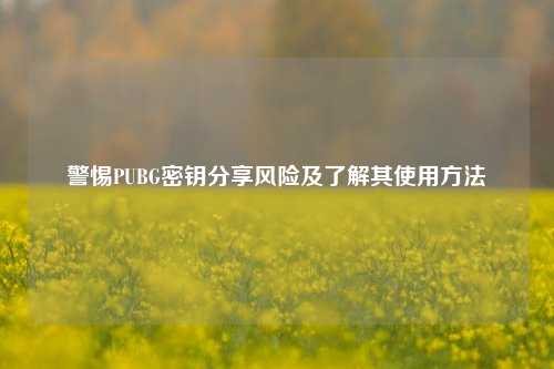 警惕PUBG密钥分享风险及了解其使用方法