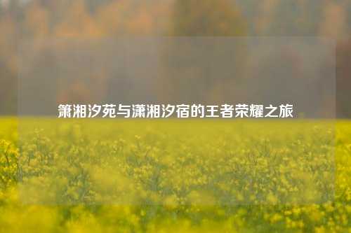 箫湘汐苑与潇湘汐宿的王者荣耀之旅