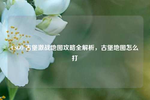 CSGO 古堡激战地图攻略全解析，古堡地图怎么打