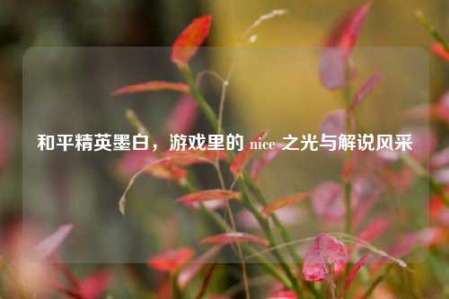 和平精英墨白，游戏里的 nice 之光与解说风采