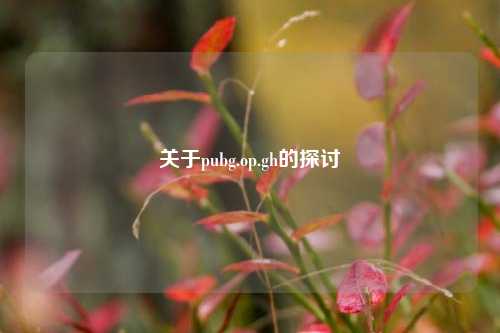 关于pubg.op.gh的探讨