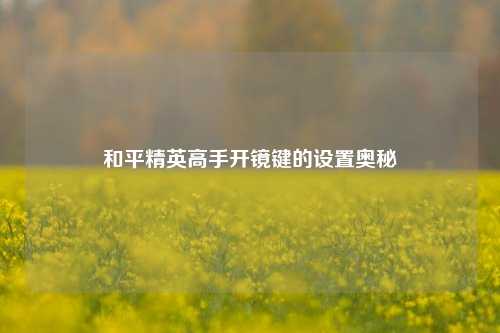和平精英高手开镜键的设置奥秘