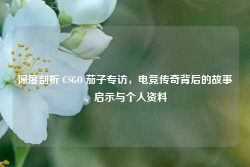 深度剖析 CSGO 茄子专访，电竞传奇背后的故事、启示与个人资料