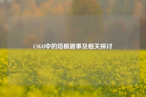 CSGO中的培根趣事及相关探讨