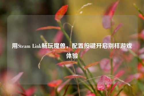 用Steam Link畅玩魔兽，配置按键开启别样游戏体验