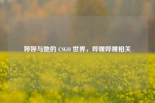 婷婷与她的 CSGO 世界，哔哩哔哩相关