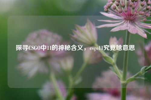 探寻CSGO中11的神秘含义，csgo11究竟啥意思