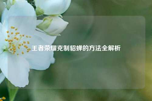 王者荣耀克制貂蝉的方法全解析