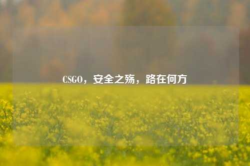 CSGO,安全之殇,路在何方