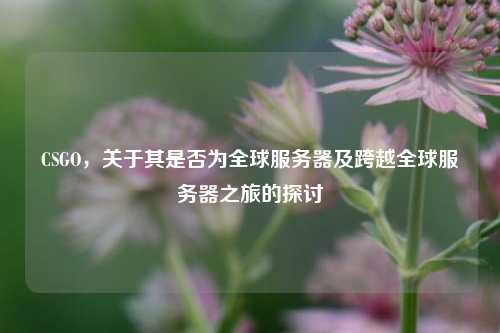 CSGO,关于其是否为全球服务器及跨越全球服务器之旅的探讨