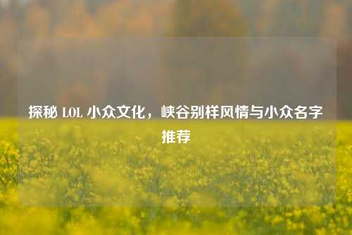 探秘 LOL 小众文化，峡谷别样风情与小众名字推荐