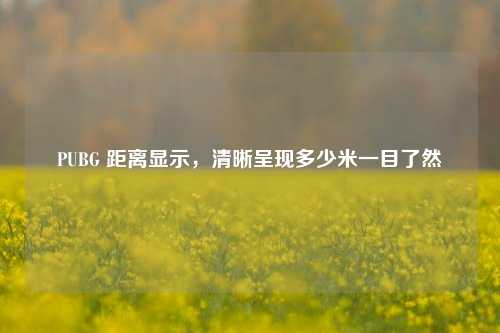PUBG 距离显示，清晰呈现多少米一目了然