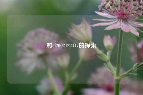 对cf2002122417的探索