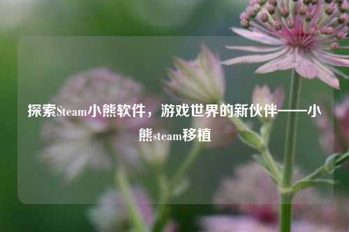 探索Steam小熊软件，游戏世界的新伙伴——小熊steam移植