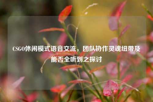 CSGO休闲模式语音交流，团队协作灵魂纽带及能否全听到之探讨