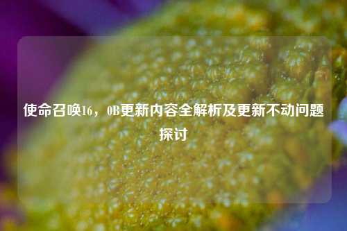 使命召唤16,0B更新内容全解析及更新不动问题探讨