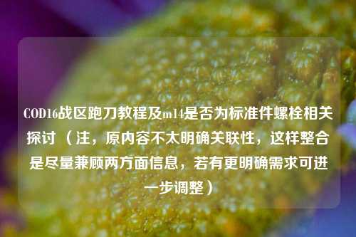 COD16战区跑刀教程及m14是否为标准件螺栓相关探讨 (注,原内容不太明确关联性,这样整合是尽量兼顾两方面信息,若有更明确需求可进一步调整)
