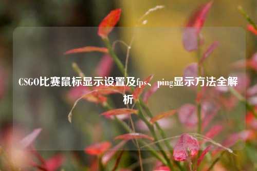 CSGO比赛鼠标显示设置及fps、ping显示方法全解析