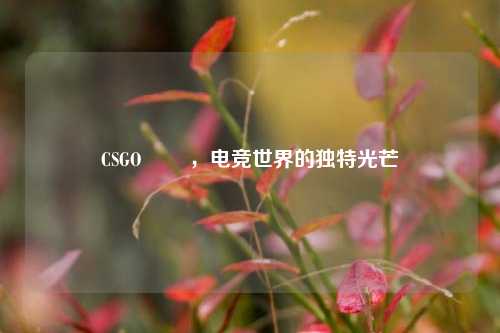 CSGO 頔頔，电竞世界的独特光芒