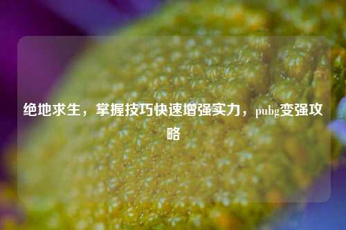 绝地求生,掌握技巧快速增强实力,pubg变强攻略