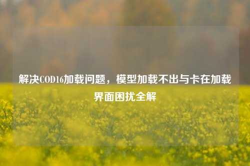 解决COD16加载问题，模型加载不出与卡在加载界面困扰全解