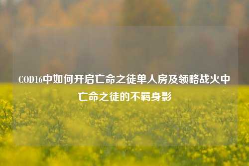 COD16中如何开启亡命之徒单人房及领略战火中亡命之徒的不羁身影
