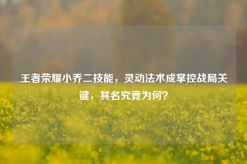 王者荣耀小乔二技能，灵动法术成掌控战局关键，其名究竟为何？