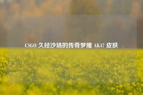 CSGO 久经沙场的传奇梦魇 AK47 皮肤