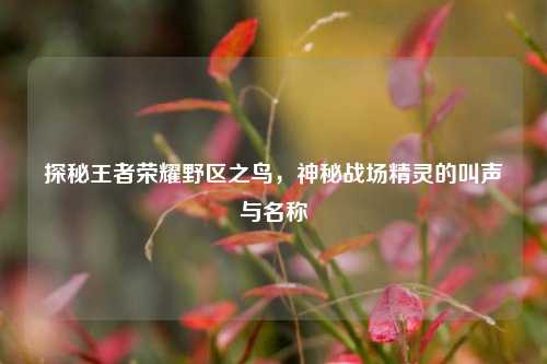 探秘王者荣耀野区之鸟,神秘战场精灵的叫声与名称