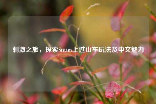 刺激之旅，探索Steam上过山车玩法及中文魅力