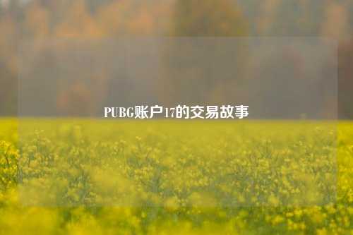 PUBG账户17的交易故事