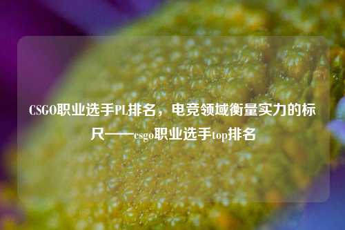 CSGO职业选手PL排名，电竞领域衡量实力的标尺——csgo职业选手top排名