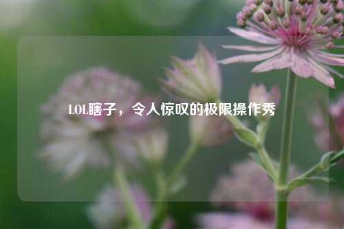 LOL瞎子，令人惊叹的极限操作秀