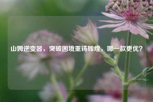 山姆逆变器，突破困境重铸辉煌，哪一款更优？