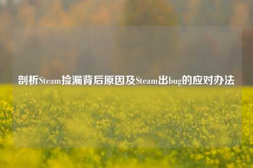剖析Steam捡漏背后原因及Steam出bug的应对办法