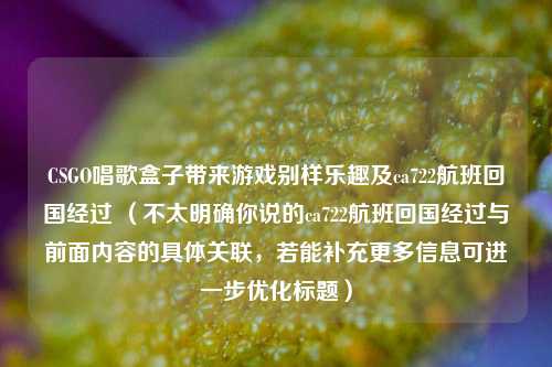 CSGO唱歌盒子带来游戏别样乐趣及ca722航班回国经过 （不太明确你说的ca722航班回国经过与前面内容的具体关联，若能补充更多信息可进一步优化标题）