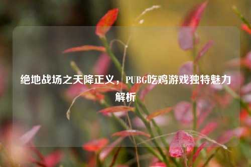 绝地战场之天降正义，PUBG吃鸡游戏独特魅力解析