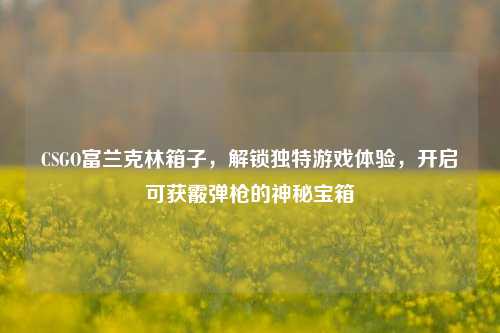 CSGO富兰克林箱子，解锁独特游戏体验，开启可获霰弹枪的神秘宝箱