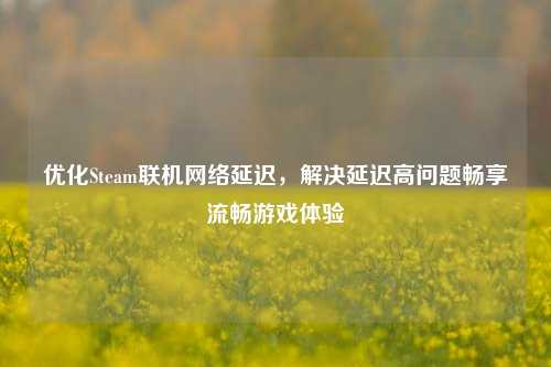 优化Steam联机网络延迟，解决延迟高问题畅享流畅游戏体验
