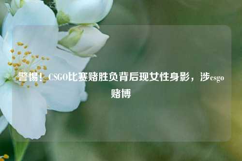 警惕!CSGO比赛赌胜负背后现女性身影,涉csgo赌博