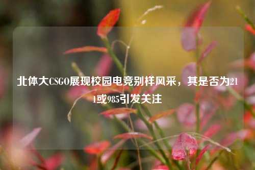 北体大CSGO展现校园电竞别样风采，其是否为211或985引发关注