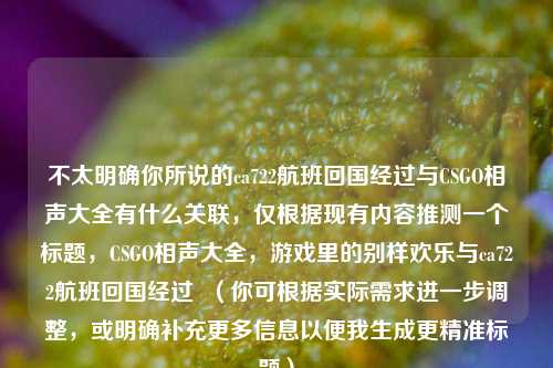 不太明确你所说的ca722航班回国经过与CSGO相声大全有什么关联，仅根据现有内容推测一个标题，CSGO相声大全，游戏里的别样欢乐与ca722航班回国经过  （你可根据实际需求进一步调整，或明确补充更多信息以便我生成更精准标题）