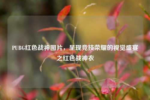 PUBG红色战神图片,呈现竞技荣耀的视觉盛宴之红色战神衣