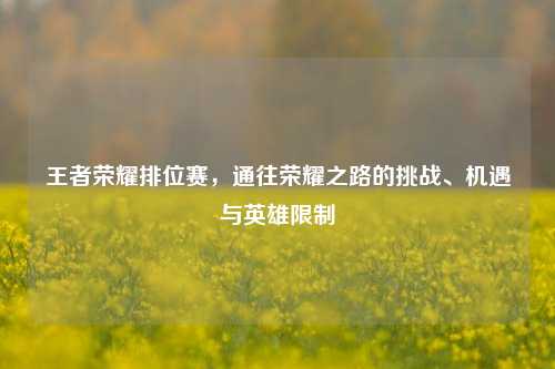 王者荣耀排位赛，通往荣耀之路的挑战、机遇与英雄限制
