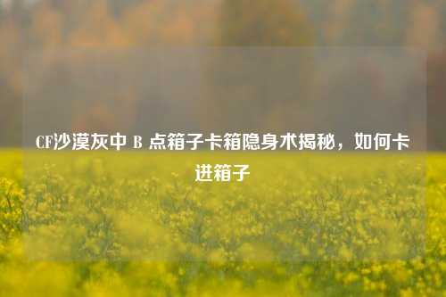 CF沙漠灰中 B 点箱子卡箱隐身术揭秘，如何卡进箱子
