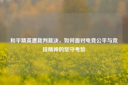 和平精英遭裁判裁决，如何面对电竞公平与竞技精神的坚守考验