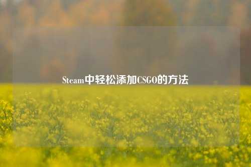 Steam中轻松添加CSGO的方法